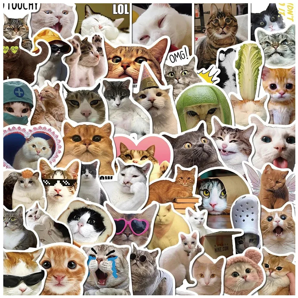 Cat Meme Sticker Set