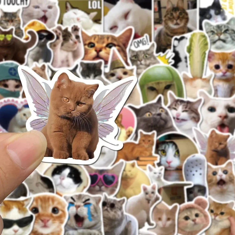 Cat Meme Sticker Set