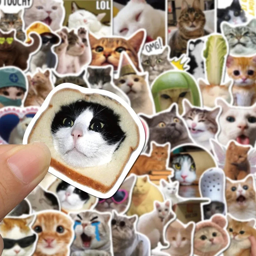 Cat Meme Sticker Set