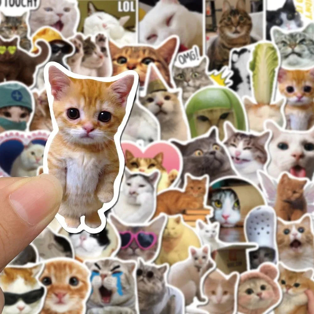 Cat Meme Sticker Set