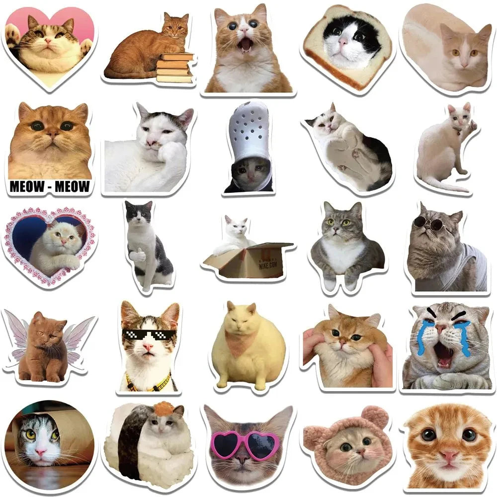 Cat Meme Sticker Set